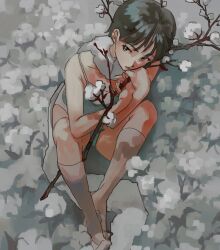 Rule 34 | 1girl, bare arms, branch, brown hair, camisole, closed mouth, commentary request, cotton (plant), full body, highres, holding, holding branch, kneehighs, looking at viewer, myango (applemangocrape), no shoes, original, outdoors, panties, short hair, sitting, socks, solo, underwear, underwear only, white camisole, white panties, white socks
