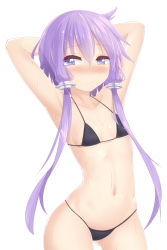 Rule 34 | 1girl, abmayo, armpits, arms behind head, arms up, bikini, black bikini, blush, breasts, collarbone, cowboy shot, expressionless, hair between eyes, half-closed eyes, highres, looking away, low twintails, navel, nose blush, purple eyes, purple hair, simple background, small breasts, solo, standing, sweat, swimsuit, twintails, vocaloid, voiceroid, wet, white background, yuzuki yukari