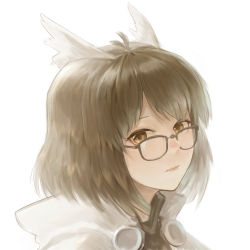 Rule 34 | 1girl, absurdres, ahong, arknights, brown eyes, brown hair, closed mouth, commentary request, feather hair, glasses, grey jacket, highres, hood, hooded jacket, jacket, lips, looking at viewer, looking over eyewear, portrait, short hair, silence (arknights), simple background, solo, white background