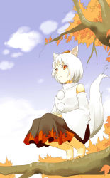 Rule 34 | 1girl, animal ears, autumn, autumn leaves, barefoot, branch, detached sleeves, full body, fumikiri (dake no hito), hat, highres, in tree, inubashiri momiji, kneeling, leaf, light smile, looking away, maple leaf, own hands together, paw print, pom pom (clothes), red eyes, short hair, sitting, sitting in tree, skirt, smile, solo, tail, tokin hat, touhou, tree, white hair, wolf ears, wolf tail