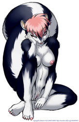 Rule 34 | 1girl, animal ears, animal hands, barefoot, breasts, dr comet, feet, furry, furry female, highres, nipples, nude, one eye closed, pussy, simple background, skunk, skunkgirl, solo, tail, toes, uncensored, wink