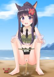 Rule 34 | 1girl, animal ears, bar censor, barefoot, beach, censored, cleft of venus, clothes pull, crab, hands on own knees, highres, kasumi (princess connect!), ocean, one-piece swimsuit pull, open mouth, outdoors, peeing, princess connect!, puddle, purple eyes, pussy, sand, solo, squatting, steam, tagme, udonko (tinanago7715)