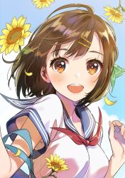 Rule 34 | 1girl, ahoge, blush, bob cut, breasts, brown eyes, brown hair, cloud, cloudy sky, collarbone, commentary request, day, flower, hair ornament, hairclip, highres, looking at viewer, morikura en, neckerchief, open mouth, original, outdoors, red neckerchief, school uniform, serafuku, short hair, short sleeves, sky, smile, solo, standing, sunflower, teeth, upper body, w arms