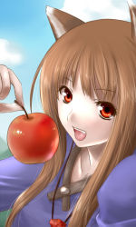 Rule 34 | 00s, 1girl, animal ears, apple, bad id, bad pixiv id, brown hair, food, fruit, holding, holding food, holding fruit, holo, long hair, nyin, red eyes, solo, spice and wolf, wolf ears
