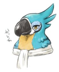 Rule 34 | 1boy, beak, bird boy, blue fur, body fur, closed mouth, furry, furry male, ingi, japanese text, kass, looking at viewer, lowres, male focus, nintendo, portrait, rito, scarf, simple background, sketch, solo, the legend of zelda, the legend of zelda: breath of the wild, translation request, two-tone fur, white background, white scarf, yellow eyes, yellow fur
