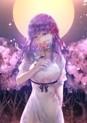 Rule 34 | 1girl, bb (fate), bb (fate/extra), blood, blood on face, breasts, dress, fate/extra, fate/extra ccc, fate (series), flower, full moon, hair ribbon, large breasts, looking to the side, moon, night, official alternate costume, petals, pink ribbon, purple eyes, purple hair, ribbon, sagta panggang, solo, tree, white dress