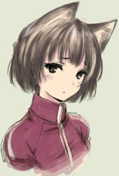Rule 34 | 1girl, animal ears, black eyes, blush, brown hair, cat ears, character request, green background, jacket, kawata hisashi, looking at viewer, short hair, simple background, sketch, solo, track jacket, upper body