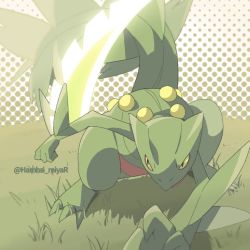 Rule 34 | artist name, black eyes, closed mouth, commentary request, creatures (company), game freak, gen 3 pokemon, grass, hamhsi miyar, hunched over, leaf blade (pokemon), legs apart, nintendo, no humans, pokemon, pokemon (creature), sceptile, solo, standing