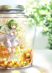 Rule 34 | 1girl, alternate costume, alternate hairstyle, ankle ribbon, barefoot, blurry, blurry background, blush, breasts, collarbone, commentary request, dress, flower, frilled shirt collar, frills, green hair, hair between eyes, hair flower, hair ornament, half updo, highres, in container, jar, kazami yuuka, large breasts, leg ribbon, lens flare, looking at viewer, mini person, minigirl, puffy short sleeves, puffy sleeves, red eyes, ribbon, rose, sailor collar, sailor dress, shironeko yuuki, short hair, short sleeves, smile, solo, sunflower, thighs, touhou, white dress, yellow flower, yellow neckwear, yellow ribbon, yellow rose