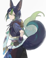 Rule 34 | 1boy, animal ear fluff, animal ears, baggy pants, black gloves, black hair, black pants, blunt ends, brown eyes, cape, closed mouth, commentary request, drawstring, earrings, expressionless, eyelashes, fox boy, fox ears, fox tail, genshin impact, gloves, gradient eyes, green cape, green eyes, green hair, hair between eyes, highres, hood, hood down, hoodie, jewelry, kushami deso, long sleeves, looking at viewer, looking back, male focus, medal, multicolored clothes, multicolored eyes, multicolored hair, pants, short hair, short sleeves, sidelocks, single earring, solo, standing, tail, tassel, tighnari (genshin impact), two-tone hair, vision (genshin impact), white background