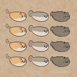 Rule 34 | animal focus, artist name, brown background, cat, closed eyes, expressions, fish, fluffy, mojacookie, multiple views, no humans, open mouth, original, sacabambaspis, scottish fold, simple background, triangle mouth, whiskers