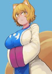 Rule 34 | 1girl, absurdres, animal ears, blonde hair, blush, breasts, chanta (ayatakaoisii), dress, expressionless, fox ears, fox tail, from side, hair between eyes, highres, large breasts, light blue background, long sleeves, looking at viewer, looking down, looking to the side, multiple tails, no headwear, own hands together, short hair, simple background, slit pupils, solo, tabard, tail, touhou, white dress, wide sleeves, yakumo ran, yellow eyes