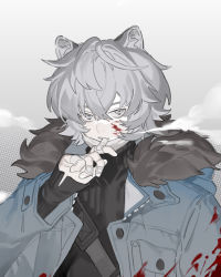 Rule 34 | 1boy, absurdres, animal ear fluff, animal ears, arknights, bad id, bad twitter id, bandaid, bandaid on hand, biting, blood, blood on clothes, blood on face, breath, cold, fang, fur, fur-trimmed hood, fur trim, grey eyes, grey hair, hair between eyes, highres, hood, hood down, hooded jacket, jacket, jacknife, jaye (arknights), male focus, mask, unworn mask, mouth mask, open clothes, open jacket, parted lips, sleeves past wrists, solo, upper body