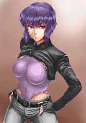 Rule 34 | 1girl, age-zero, belt, breasts, fingerless gloves, ghost in the shell, ghost in the shell stand alone complex, gloves, hands on own hips, highres, jacket, kusanagi motoko, large breasts, leotard, purple hair, red eyes, short hair, solo, sunaipu (age-zero)