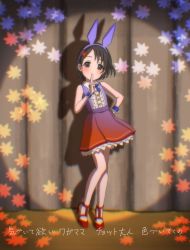 Rule 34 | 1girl, animal ears, black eyes, black hair, blue bow, blue bowtie, blue dress, blush, bow, bowtie, child, commentary request, curtains, dot nose, dress, fake animal ears, finger to mouth, full body, gradient dress, hair ornament, hairclip, hand on own hip, hand up, highres, idolmaster, idolmaster cinderella girls, index finger raised, layered dress, leaf hair ornament, leaf print, legs, light, looking at viewer, megabee e, pantyhose, rabbit ears, red dress, red footwear, sasaki chie, shadow, shoes, short hair, sleeveless, sleeveless dress, solo, translation request, white pantyhose, wing collar, wrist cuffs