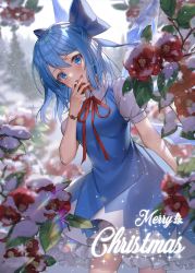 Rule 34 | 1girl, absurdres, arm behind back, arm up, artist name, blue dress, blue eyes, blue hair, blurry, blurry background, branch, breasts, cirno, commentary, cowboy shot, day, dress, english text, flower, hair between eyes, hair ribbon, highres, holding, holding flower, leaf, leaning to the side, light blush, looking at viewer, merry christmas, milcona, open mouth, outdoors, overcast, petticoat, pinafore dress, puffy short sleeves, puffy sleeves, red flower, red neckwear, red ribbon, ribbon, shirt, short hair, short sleeves, sky, sleeveless, sleeveless dress, small breasts, snow, snowing, solo, standing, teeth, touhou, tree, upper teeth only, white shirt, wings, wristband