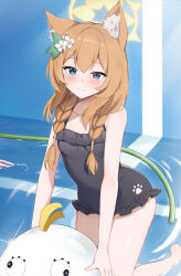 Rule 34 | absurdres, animal ear fluff, animal ears, black one-piece swimsuit, blue archive, braid, casual one-piece swimsuit, cat ears, cat girl, commentary request, flower, frilled one-piece swimsuit, frills, hair flower, hair ornament, halo, highres, hose, kneeling, kurigura (sketch san), long hair, looking at viewer, low twin braids, mari (blue archive), mari (swimsuit) (blue archive), no halo, official alternate costume, one-piece swimsuit, orange hair, paw print, peroro (blue archive), pool, revision, smile, swimsuit, twin braids, white flower, yellow halo