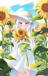 Rule 34 | 1girl, absurdres, blue eyes, blue sky, blush, commentary request, dress, flower, hat, hat ribbon, highres, holding, holding flower, isoroku (isrk), leaf, long hair, looking at viewer, original, outdoors, petals, ribbon, sky, sleeveless, sleeveless dress, solo, standing, straw hat, sun hat, sundress, sunflower, sunflower petals, very long hair, white dress, white hair