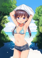 Rule 34 | 1girl, :d, armpits, arms up, bare shoulders, bikini, bikini top only, blue bikini, blue sky, blush, breasts, brown hair, cloud, collarbone, cowboy shot, cutoffs, day, denim, denim shorts, halterneck, halterneck, horizon, long hair, looking at viewer, low twintails, navel, ocean, open mouth, original, outdoors, purple eyes, sekiya asami, shirt, short shorts, shorts, sky, small breasts, smile, solo, standing, stomach, sunlight, swimsuit, thighs, tree, tree shade, twintails, undressing, water, white shirt