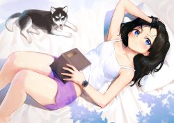 Rule 34 | 1girl, bare legs, barefoot, black hair, blue eyes, blush, book, closed mouth, commentary request, dog, dolphin shorts, feet out of frame, hand in own hair, holding, holding book, husky, looking at viewer, lying, on back, open book, original, pillow, shirt, short shorts, shorts, smile, solo, treeware, watch, white shirt, wristwatch