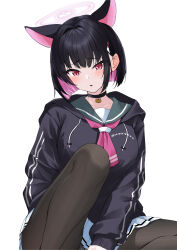 Rule 34 | 1girl, absurdres, animal ears, awnw, black choker, black hoodie, black jacket, black pantyhose, blue archive, blush, breasts, cat choker, cat ears, choker, colored inner animal ears, colored inner hair, extra ears, green sailor collar, halo, highres, hood, hooded jacket, hoodie, jacket, kazusa (blue archive), large breasts, looking at viewer, multicolored hair, neckerchief, pantyhose, pink halo, pink neckerchief, red eyes, sailor collar, short hair, skirt, solo, trinity general school logo, white skirt