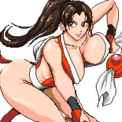 Rule 34 | 1girl, breasts, fatal fury, highres, large breasts, pixel art, ponytail, shiranui mai, smile