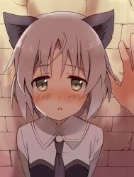 Rule 34 | 1girl, animal ears, arms behind back, blush, brick wall, cat ears, disembodied hand, extra ears, glastonbury1966, green eyes, grey hair, necktie, parted lips, sanya v. litvyak, solo focus, strike witches, sweat, world witches series