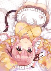 Rule 34 | 1girl, :3, :p, animal ears, apron, arms up, bad id, bad pixiv id, black ribbon, black skirt, blush, bow, breasts, cat ears, cat girl, cat tail, collarbone, commentary request, floral print, frills, hair between eyes, hair ribbon, hair spread out, heart, lace-trimmed sleeves, lace trim, lolita fashion, long hair, long sleeves, looking at viewer, lying, maid, maid apron, maid headdress, medium breasts, no shoes, on back, original, paw print, pink bow, pink eyes, pink hair, polka dot, ribbon, shikino (sikinonono), shirt, sidelocks, skirt, sleeves past wrists, solo, tail, tail bow, tail ornament, thighhighs, tongue, tongue out, twintails, upside-down, wa lolita, wavy hair, white apron, white bow, white thighhighs, wide sleeves, yellow shirt, zettai ryouiki