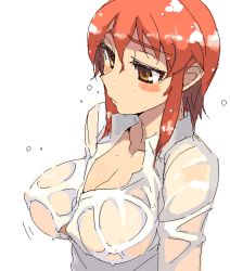 Rule 34 | blush, breasts, brown eyes, huge breasts, kusanagi tonbo, oekaki, original, red hair, see-through, shirt, simple background, solo, wet, wet clothes, wet shirt, white background