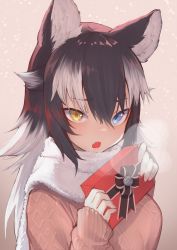 Rule 34 | 1girl, absurdres, akuma (st.takuma), animal ears, black hair, blue eyes, blush, breath, commentary, fang, fur collar, grey wolf (kemono friends), heterochromia, highres, kemono friends, long hair, long sleeves, multicolored hair, open mouth, pink sweater, solo, sweater, two-tone hair, valentine, white fur, white hair, wolf ears, wolf girl, yellow eyes