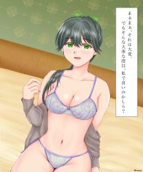 Rule 34 | 1girl, absurdres, black hair, bra, breasts, cardigan, cleavage, collarbone, commentary request, commission, cowboy shot, green eyes, highres, houshou (kancolle), kantai collection, long hair, looking at viewer, medium breasts, moriyuki nal, open cardigan, open clothes, open mouth, panties, ponytail, purple bra, purple panties, side-tie panties, skeb commission, smile, solo, translation request, underwear