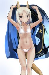 Rule 34 | 10s, 1girl, animal ears, bikini, brave witches, edytha rossmann, flag, fox ears, fox tail, grey eyes, highres, holding, kaneko (novram58), long hair, navel, silver hair, simple background, solo, strike witches, swimsuit, tail, white background, white bikini, world witches series