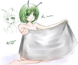 Rule 34 | 1girl, aged up, antennae, character sheet, completely nude, female focus, gradient background, green hair, milksea, nude, oekaki, partially colored, short hair, solo, touhou, white background, wriggle nightbug