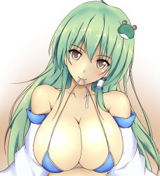 Rule 34 | 1girl, bare shoulders, bikini, bikini in mouth, bikini top only, breasts, brown eyes, cleavage, clothes in mouth, detached sleeves, female focus, frog hair ornament, green hair, hair ornament, hair tubes, kochiya sanae, labaha, large breasts, long hair, looking at viewer, mouth hold, smile, solo, string bikini, swimsuit, touhou