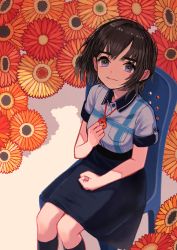 Rule 34 | 1girl, black skirt, black socks, blue eyes, breast pocket, breasts, brown hair, chair, clenched hand, closed mouth, collar, collared shirt, commentary request, flower, from above, hand on lap, hand on own chest, highres, kaneni, looking at viewer, medium skirt, original, pocket, shirt, short sleeves, sitting, skirt, small breasts, smile, socks, solo