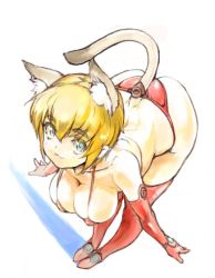 Rule 34 | 1girl, :3, animal ears, ass, bent over, blonde hair, blue eyes, breasts, cat ears, cat girl, cat tail, character request, chikuwa (tks), cleavage, elbow gloves, female focus, gloves, large breasts, red gloves, red thighhighs, shadow, short hair, simple background, skindentation, solo, tail, thighhighs, white background