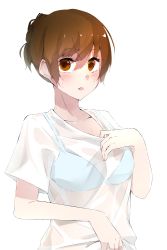 Rule 34 | 1girl, blue bra, blush, bra, bra visible through clothes, breasts, brown eyes, brown hair, cotton kanzaki, highres, looking at viewer, medium breasts, open mouth, original, see-through, shirt, short hair, simple background, solo, sweat, t-shirt, underwear, upper body, wet, wet clothes, wet shirt, white background, white shirt