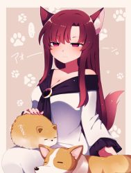 Rule 34 | 1girl, absurdres, animal, animal ears, bad id, bad pixiv id, blush, brown hair, closed mouth, dog, dress, highres, imaizumi kagerou, long hair, long sleeves, paw print, red eyes, solo, tail, touhou, white dress, wolf ears, wolf tail, you (noanoamoemoe), zzz