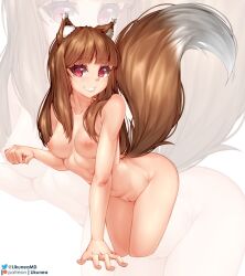 Rule 34 | 1girl, animal ears, breasts, brown hair, cleft of venus, holo, likunea, medium breasts, midriff, nipples, nude, red eyes, solo, spice and wolf, tail, wolf ears, wolf girl, wolf tail
