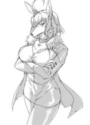 Rule 34 | 1girl, ahoge, animal ears, breasts, cape, claws, cleavage, commentary, crossed arms, dog ears, english commentary, eu03, fate/apocrypha, fate/grand order, fate (series), fur-trimmed cape, fur collar, fur trim, furry, furry female, huge ahoge, jeanne d&#039;arc (fate), jeanne d&#039;arc alter (fate), jeanne d&#039;arc alter (ver. shinjuku 1999) (fate), jewelry, large breasts, necklace, pun, short hair, sketch, snout, solo, werewolf, wicked dragon witch ver. shinjuku 1999, yellow eyes