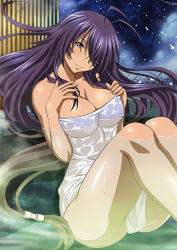 Rule 34 | 00s, 1girl, ass, black hair, breasts, cleavage, female focus, hair over one eye, hat, ikkitousen, kan&#039;u unchou, large breasts, legs, long hair, looking at viewer, low-tied long hair, naked towel, night, nude, outdoors, partially submerged, shiny skin, sitting, smile, snow, solo, towel, water, wet