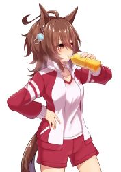 Rule 34 | 1girl, absurdres, agnes tachyon (umamusume), ahoge, animal ears, bottle, brown hair, chemical structure, cowboy shot, earrings, hand on own hip, highres, holding, holding bottle, horse ears, horse girl, horse tail, jacket, jewelry, long sleeves, open clothes, open jacket, red eyes, red jacket, red shorts, ruisuke, shirt, short hair, shorts, simple background, single earring, solo, tail, tracen training uniform, track jacket, umamusume, white background, white shirt