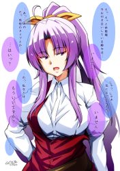 Rule 34 | 1girl, ahoge, breasts, large breasts, long hair, looking at viewer, open mouth, parted bangs, ponytail, purple eyes, purple hair, simple background, solo, speech bubble, tatsuya (guild plus), touhou, translation request, watatsuki no yorihime, white background