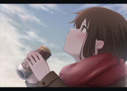 Rule 34 | 1girl, 46 crt, absurdres, blue sky, brown coat, brown eyes, brown hair, can, canned coffee, cloud, coat, commentary request, drink, drink can, from side, highres, holding, holding can, holding drink, letterboxed, long sleeves, original, red scarf, scarf, scenery, sky, solo, winter