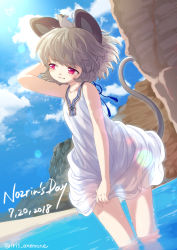 Rule 34 | 1girl, animal ears, blue sky, grey hair, iris anemone, mouse ears, mouse tail, nazrin, red eyes, sky, tail, touhou, water