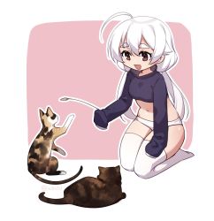 Rule 34 | 1girl, :d, ahoge, animal, brown eyes, cat, cat teaser, chibi, commentary, crop top, english commentary, hair between eyes, highres, iwbitu, long hair, long sleeves, low twintails, navel, no pants, nyopu, open mouth, original, panties, pink background, seiza, simple background, sitting, sleeves past fingers, sleeves past wrists, smile, solo, thick eyebrows, thighhighs, twintails, underwear, white hair, white panties, white thighhighs