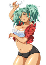 Rule 34 | 1girl, blush, bottle, breasts, cleavage, curvy, dark skin, dark-skinned female, female focus, green eyes, green hair, ikkitousen, jacket, large breasts, long hair, looking at viewer, navel, official art, ryofu housen, simple background, smile, solo, twintails, unzipped, water bottle, wet, wet clothes, white background