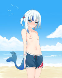 Rule 34 | 1girl, absurdres, amrb, animal hair ornament, arms behind back, bare shoulders, beach, blue eyes, blue male swimwear, blue one-piece swimsuit, blue sky, blue swim trunks, blush, breasts, closed mouth, cloud, collarbone, cowboy shot, crossdressing, day, drawstring, embarrassed, exhibitionism, facing viewer, fins, fish tail, flat chest, gawr gura, hair ornament, highres, hololive, hololive english, looking at viewer, male swimwear, male swimwear challenge, midriff, navel, nervous, nipples, nose blush, ocean, one-piece swimsuit, outdoors, public indecency, sand, shark girl, shark hair ornament, shark tail, shore, shy, sky, small breasts, solo, standing, stomach, summer, sweat, sweatdrop, swim trunks, swimsuit, tail, thighs, tomboy, topless, virtual youtuber, water, water drop