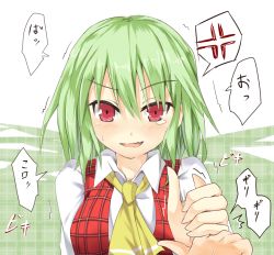 Rule 34 | 1girl, anger vein, angry, ascot, blush, efe, embarrassed, face, female focus, green hair, kazami yuuka, open mouth, plaid, plaid vest, red eyes, short hair, solo, tears, touhou, translated, tsundere, vest