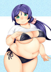 Rule 34 | 10s, 1girl, absurdres, belly, breasts, fat, fusa (starless2323), green eyes, highres, large breasts, long hair, looking at viewer, love live!, love live! school idol project, navel, purple hair, smile, solo, swimsuit, tojo nozomi, twintails